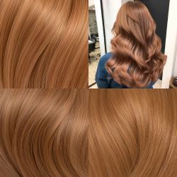 Light-Brown 亮棕色