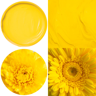 Vivid-Yellow 哑光黄色